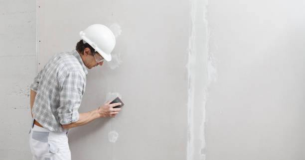 Best Attic Mold Removal  in Flowood, MS