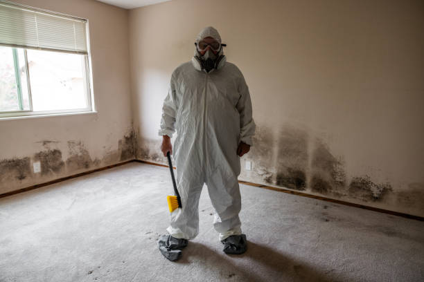 Best Mold Prevention Services  in Flowood, MS